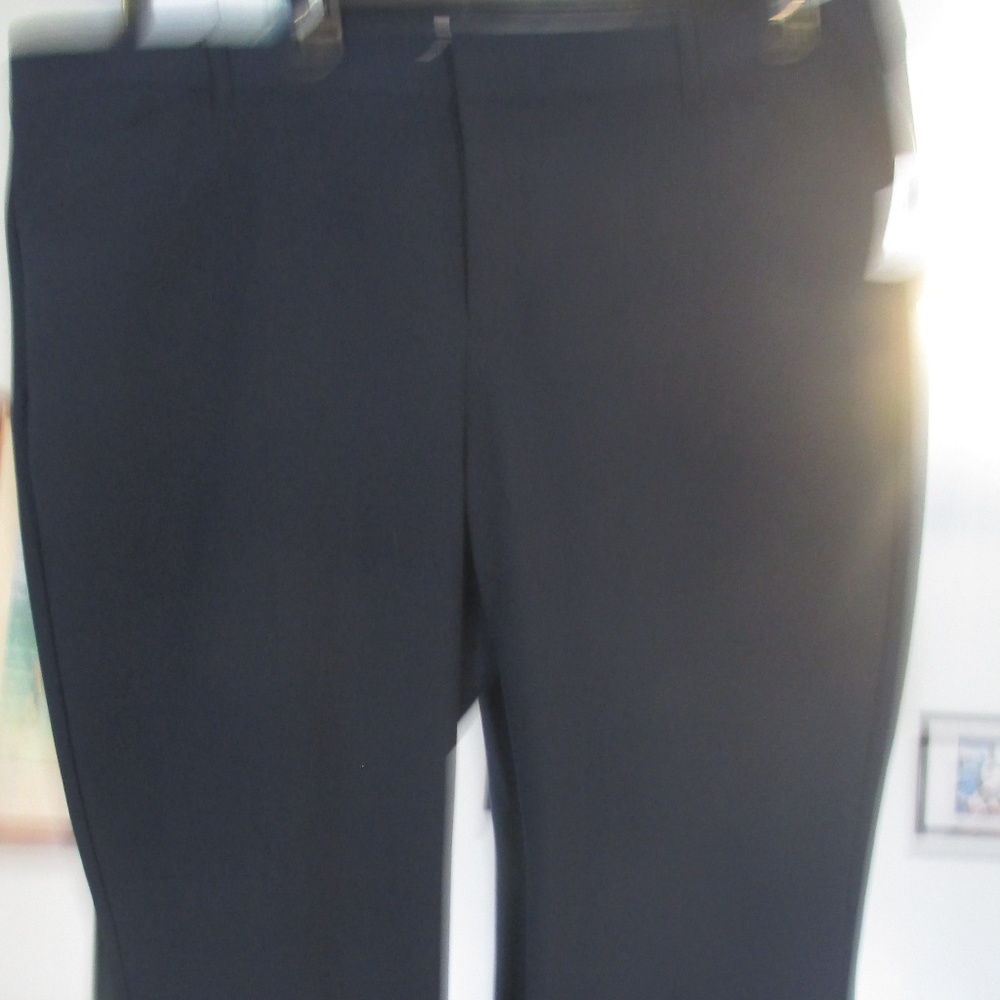 Dress Pants NWT